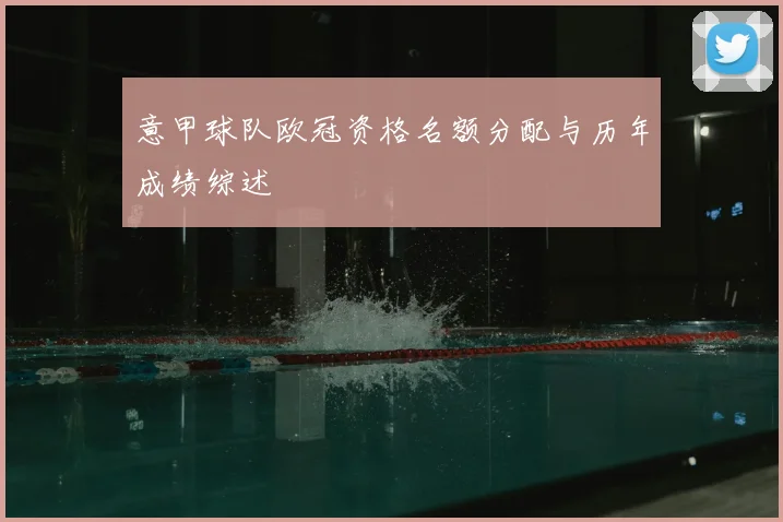 意甲球队欧冠资格名额分配与历年成绩综述
